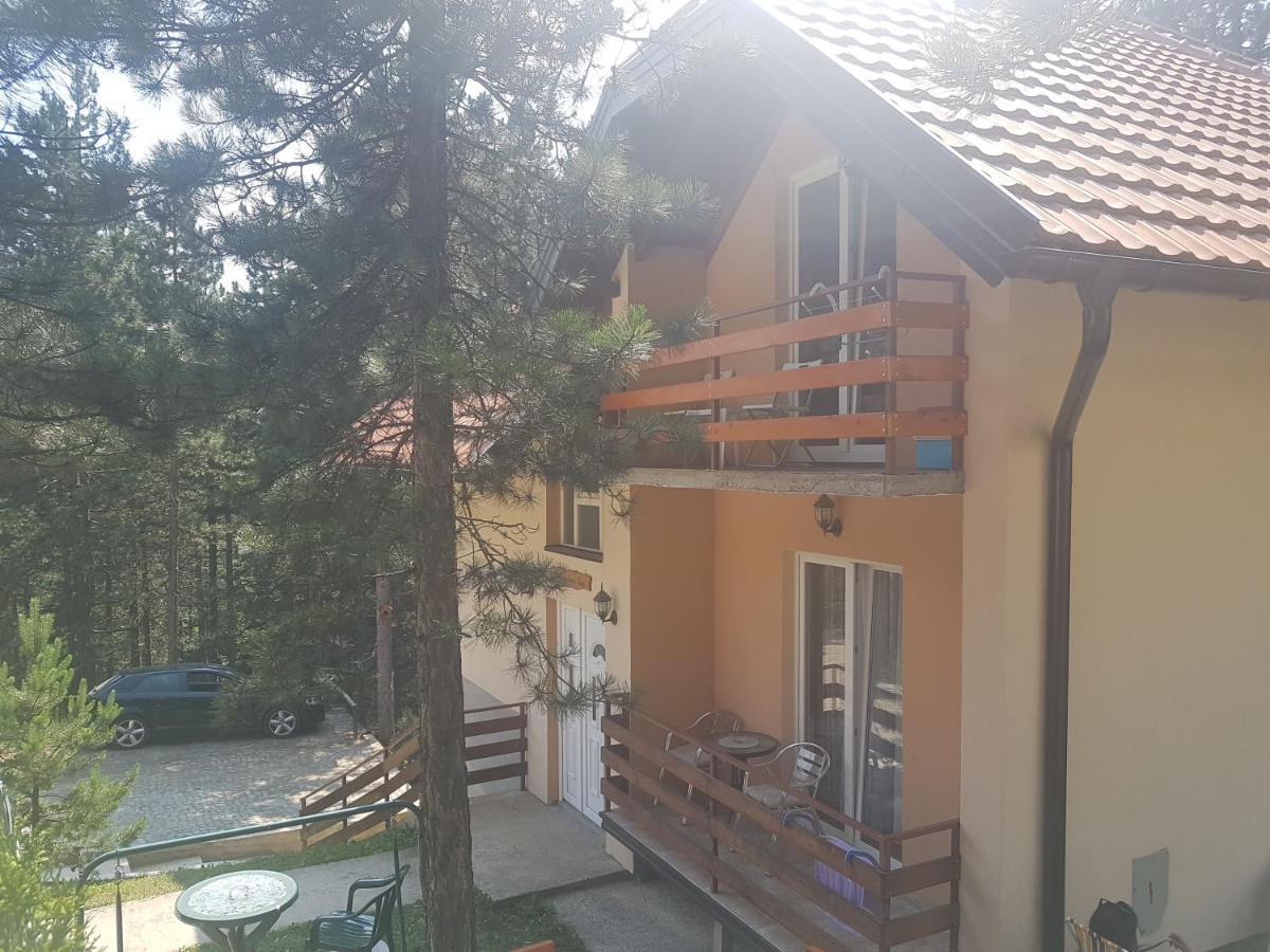 Mountain House Tara Apartmani Nikolic Kaludjerske Bare Εξωτερικό φωτογραφία