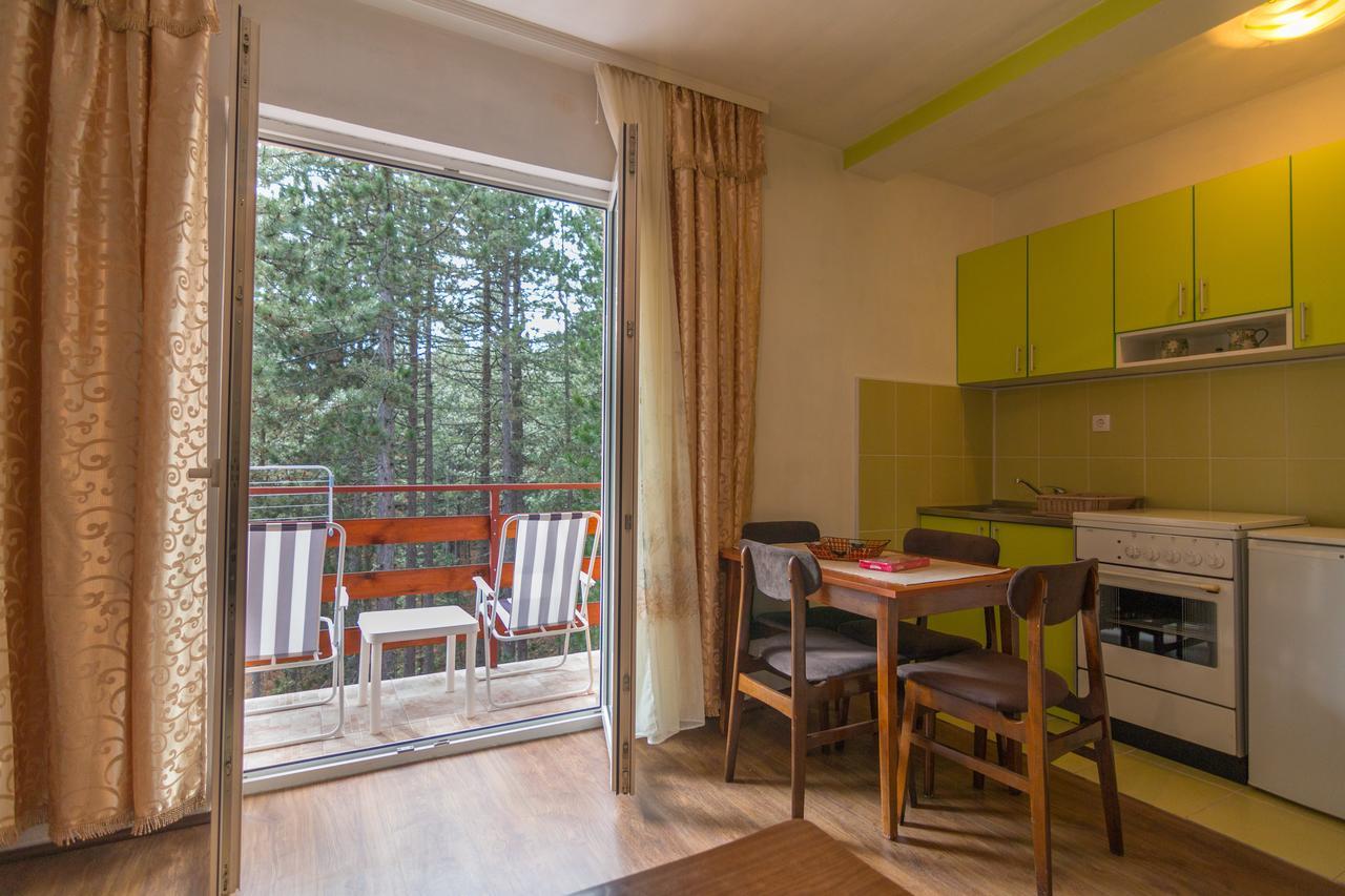 Mountain House Tara Apartmani Nikolic Kaludjerske Bare Εξωτερικό φωτογραφία