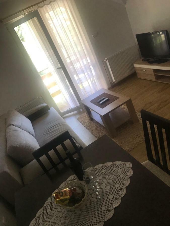 Mountain House Tara Apartmani Nikolic Kaludjerske Bare Εξωτερικό φωτογραφία