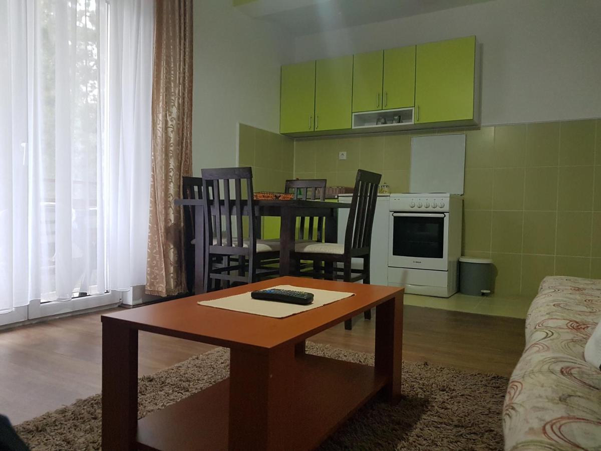 Mountain House Tara Apartmani Nikolic Kaludjerske Bare Εξωτερικό φωτογραφία